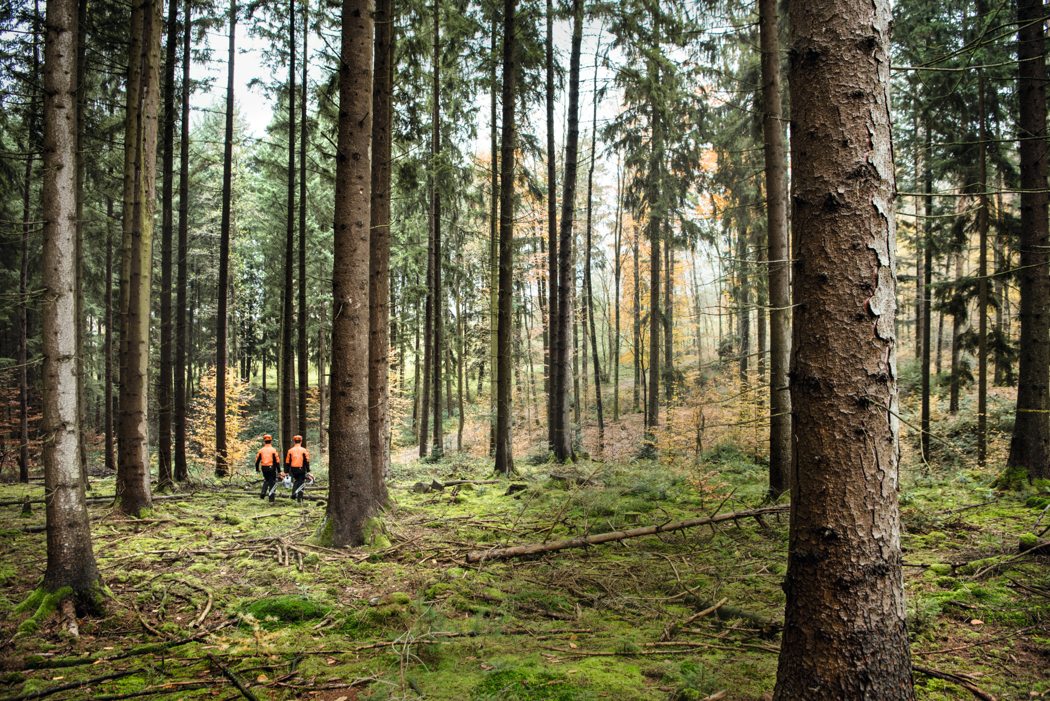 STIHL as a company
