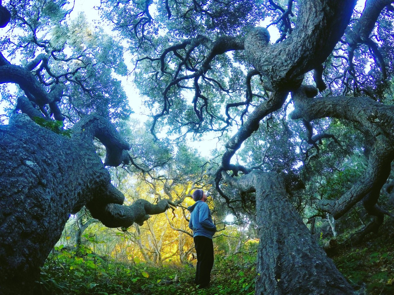 Website California-state-parks_HQ_P_2022-05-0001